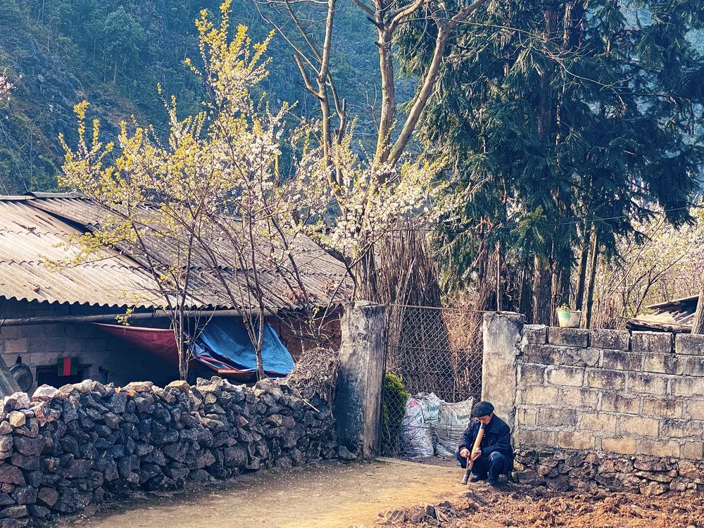 Khung cảnh bình yên nơi vùng cao nguyên đá Hà Giang Khung cảnh bình yên nơi vùng cao nguyên đá Hà Giang