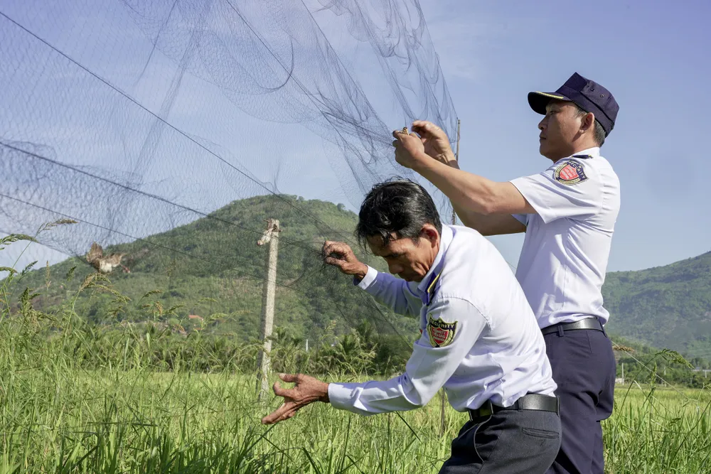 Đội chống săn bắt chim yến giải cứu các chú chim bị mắc lưới 01.jpg