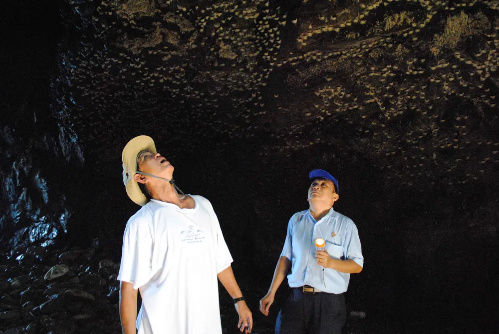 1. Nguyên Chủ tịch HĐTV Lê Hữu Hoàng đam nghê nghiên cứu khoa học.JPG