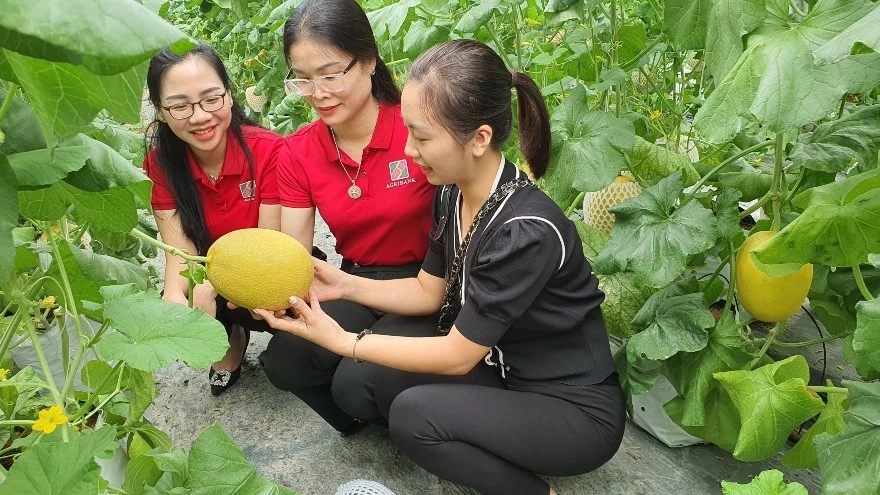 Agribank hỗ trợ phát triển nông sản sạch, nông sản đạt tiêu chuẩn OCOP