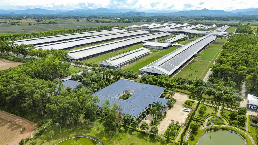 Hệ thống 15 trang trại đạt chuẩn Organic châu Âu và Global S.L.P là nền tảng giúp Vinamilk chủ động nguồn nguyên liệu chất lượng cao. Ảnh: Minh Anh ẢNH 2A.jpg