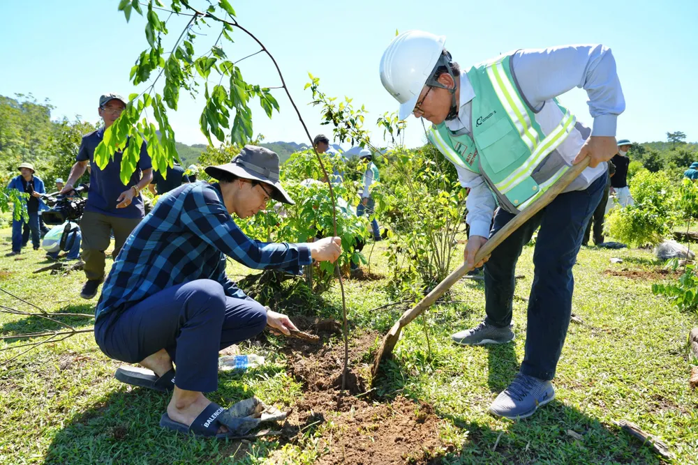 Coteccons tổ chức trồng 11.777 cây bản địa tại Quảng Trị