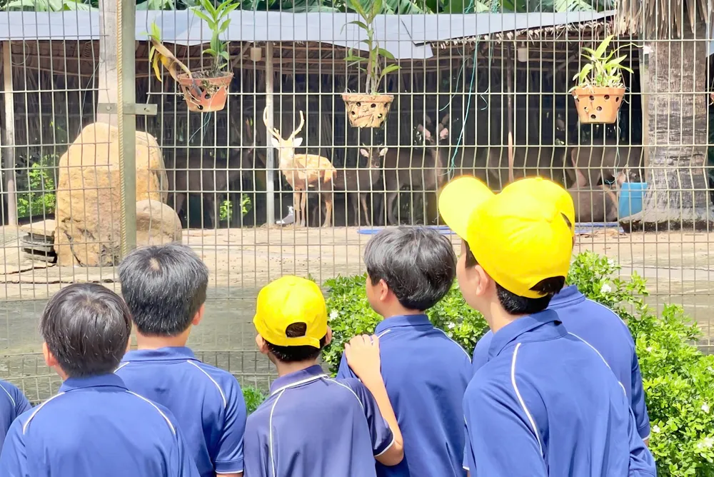 Các em tham quan vườn thú trong Công ty VWS h7.jpg