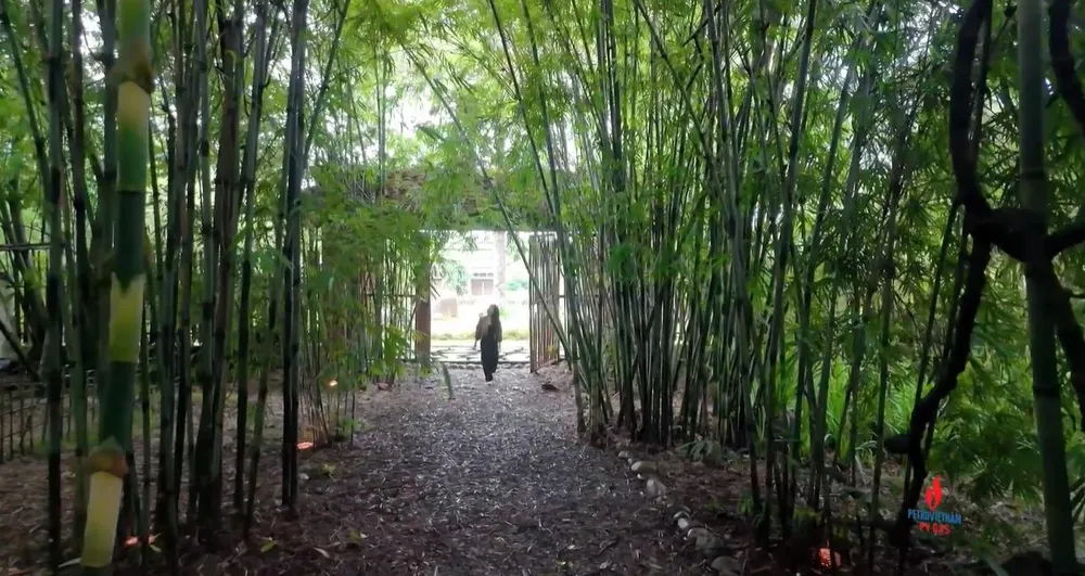 Làng tre Phú An