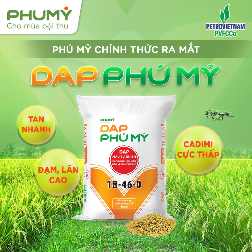 PVFCCo – Phú Mỹ ra mắt DAP Phú Mỹ