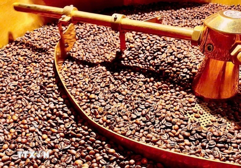 越南咖啡行业努力应对欧盟防止森林砍伐新规。图自越通社