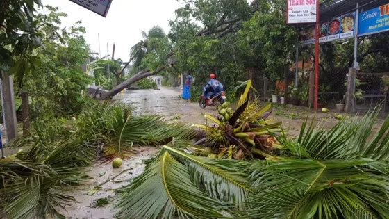 Thủ tướng chỉ đạo ứng phó khẩn cấp mưa lũ tại miền Trung và Tây Nguyên ảnh 3