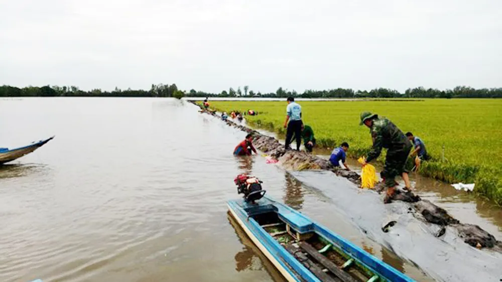 Thủ tướng chỉ đạo ứng phó lũ lớn ở ĐBSCL và mưa lũ tại Bắc Bộ ảnh 2