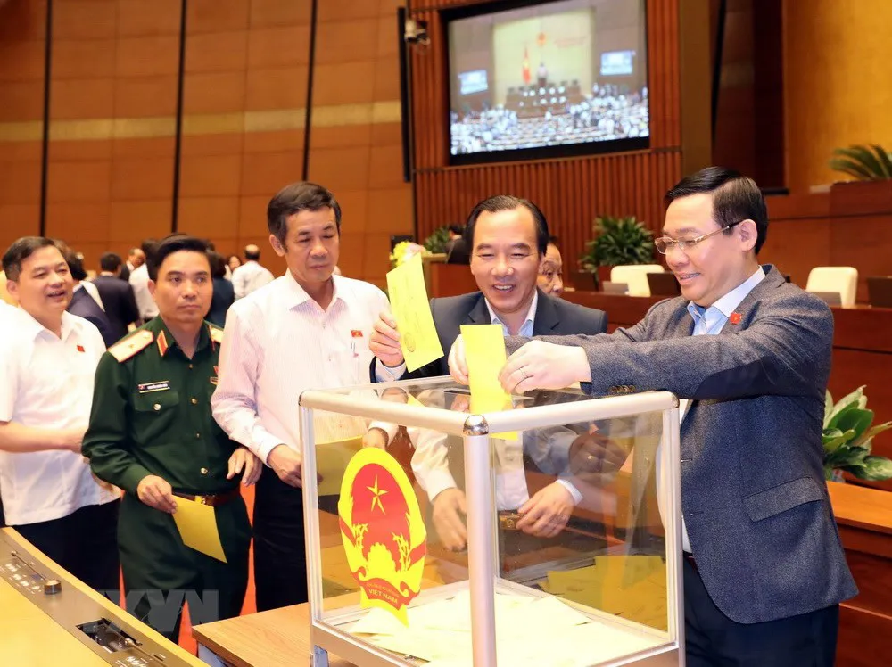 ĐBQH kỳ vọng lớn vào việc Tổng Bí thư giữ chức vụ Chủ tịch nước ảnh 2