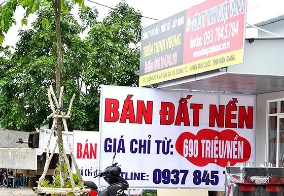 Thời gian qua, đất nền Phú Quốc được rao bán tràn lan. Ảnh: NGUYỄN SINH