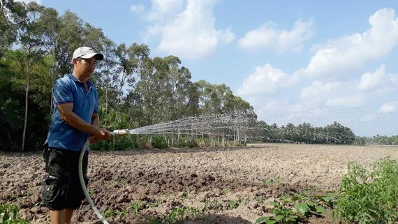 Nguồn nước dần cạn kiệt, người dân bán đảo Cà Mau sẽ gặp khó khăn trong sản xuất nếu hạn hán kéo dài. Ảnh: TẤN THÁI