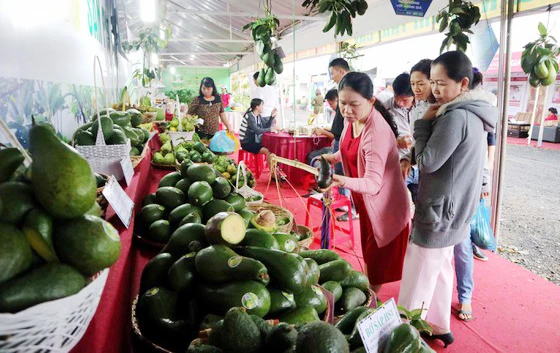 Gian hàng giới thiệu trái bơ Tây Nguyên