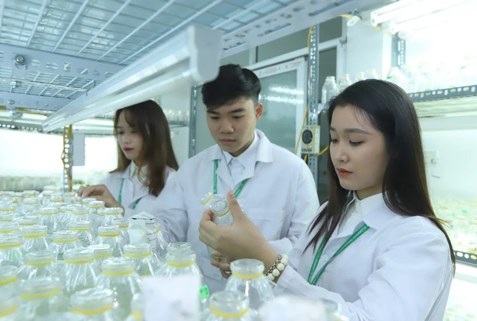 Sinh viên Đại học Nông nghiệp. Ảnh: QUANG PHÚC