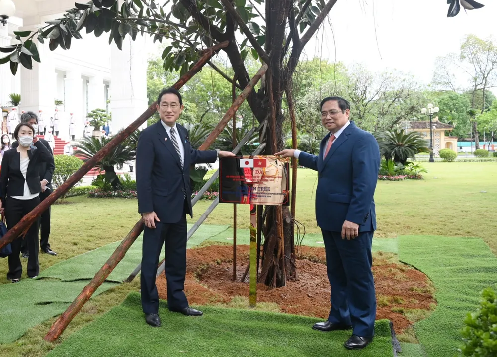 Thủ tướng Phạm Minh Chính đón Thủ tướng Nhật Bản Kishida Fumio   ảnh 4 Thủ tướng Phạm Minh Chính đón Thủ tướng Nhật Bản Kishida Fumio   ảnh 4