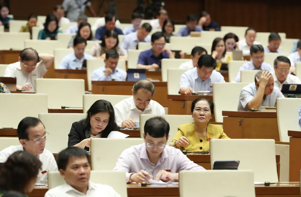 Các đại biểu dự họp sáng 29-5. Ảnh: QUANG PHÚC