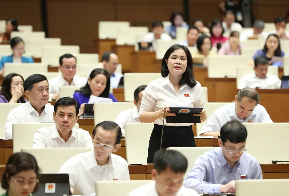 Đại biểu Nguyễn Thị Hồng Hạnh (TPHCM). Ảnh: QUANG PHÚC Đại biểu Nguyễn Thị Hồng Hạnh (TPHCM). Ảnh: QUANG PHÚC