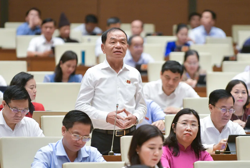 ĐB Lê Thanh Vân (Cà Mau) ĐB Lê Thanh Vân (Cà Mau)