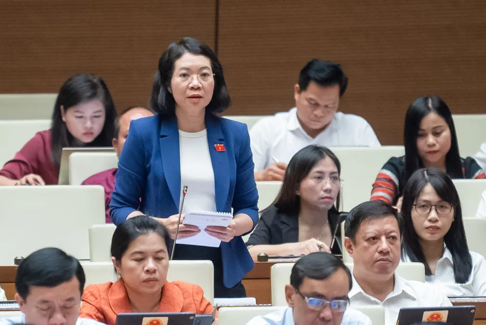 Đại biểu Mai Thị Phương Hoa (Nam Định) Đại biểu Mai Thị Phương Hoa (Nam Định)