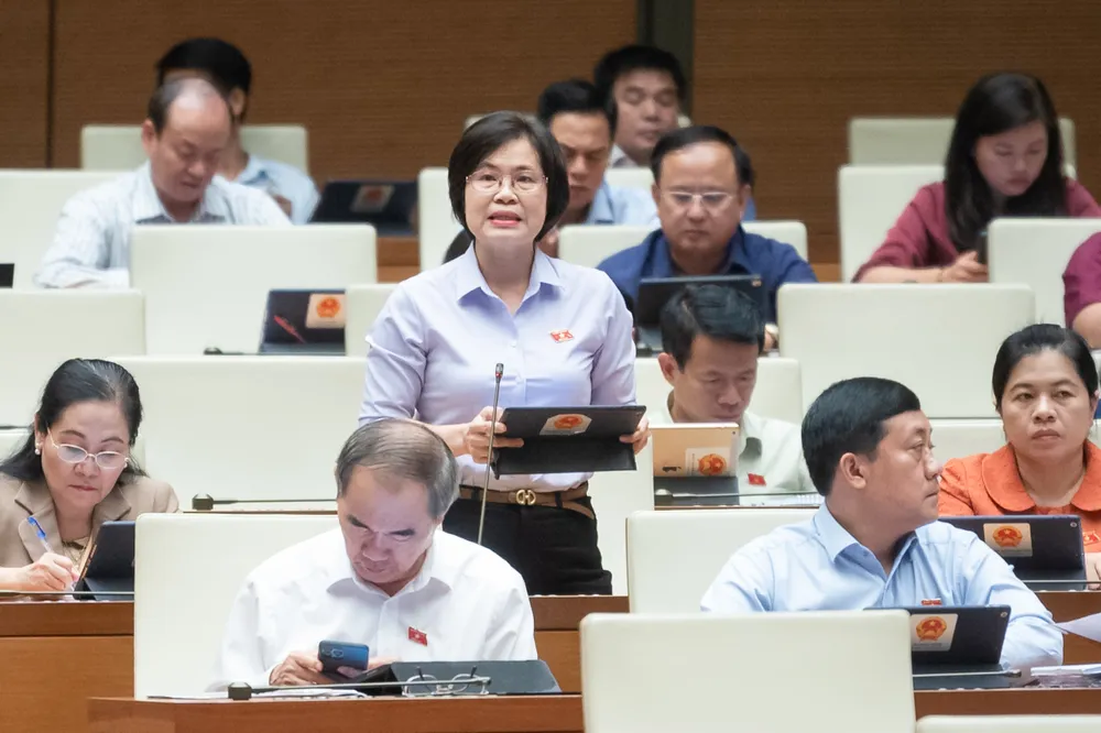 Đại biểu Nguyễn Thị Hồng Hạnh (TPHCM) Đại biểu Nguyễn Thị Hồng Hạnh (TPHCM)