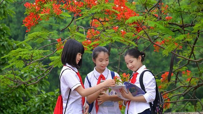 Thủ tướng chỉ đạo quản lý trẻ em, học sinh không để xảy ra tai nạn, thương tích, đuối nước trong kỳ nghỉ hè
