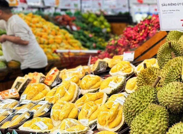 Thủ tướng yêu cầu hướng dẫn quy trình sản xuất sầu riêng an toàn, bền vững