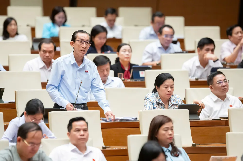 ĐB Trần Hoàng Ngân (TPHCM). Ảnh: VIẾT CHUNG ĐB Trần Hoàng Ngân.jpg