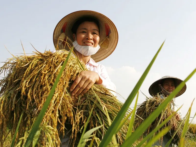 Quỹ Hỗ trợ nông dân Trung ương nhằm hỗ trợ hội viên Hội Nông dân