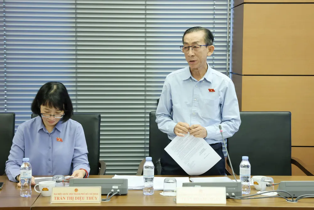 Đại biểu Trần Hoàng Ngân (TPHCM). Ảnh: QUANG PHÚC Đại biểu Trần Hoàng Ngân (TPHCM).jpg
