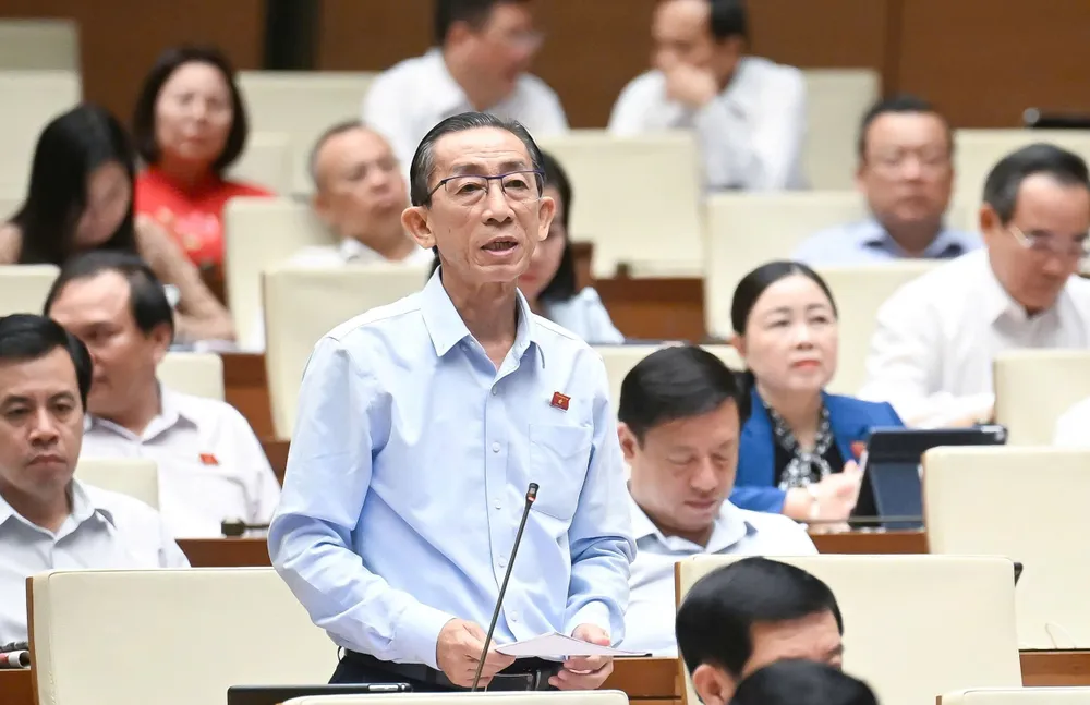 Đại biểu Trần Hoàng Ngân (TPHCM). Ảnh: QUANG PHÚC Đại biểu Trần Hoàng Ngân (TPHCM).jpg