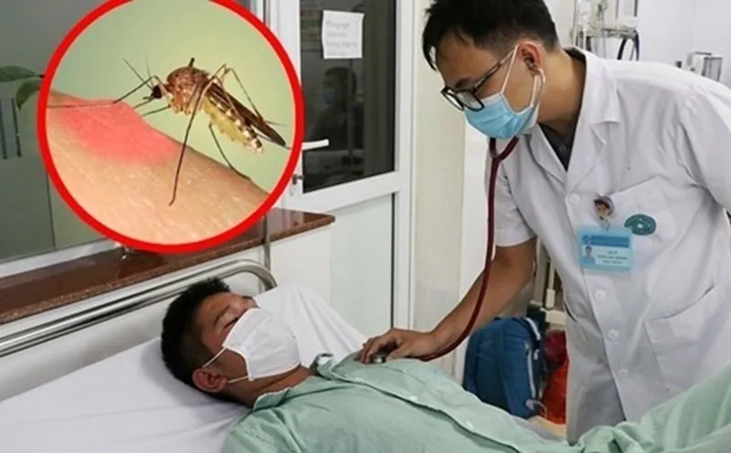 Thủ tướng yêu cầu tăng cường phòng, chống bệnh sốt xuất huyết
