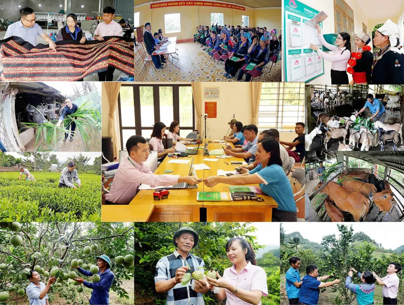 Chính phủ yêu cầu mở rộng địa bàn, đối tượng, nâng mức cho vay tín dụng chính sách xã hội