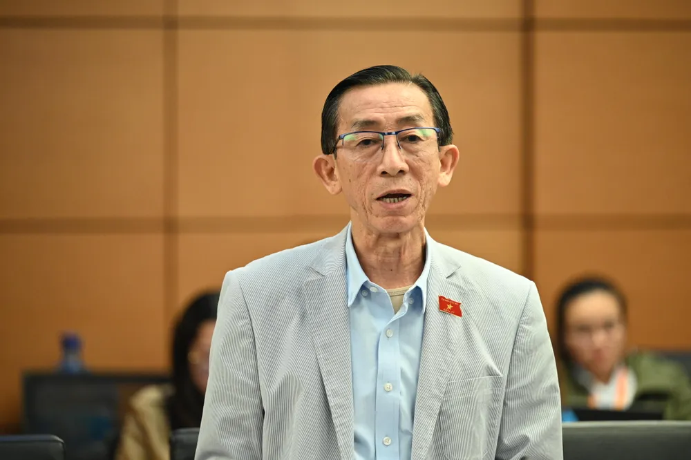 ĐB Trần Hoàng Ngân (TPHCM). Ảnh: ĐỖ TRUNG 1.jpg