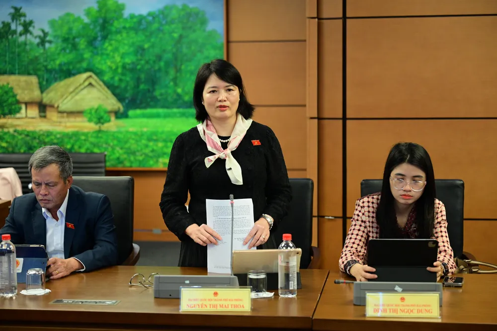 ĐB Nguyễn Thị Mai Thoa.jpg