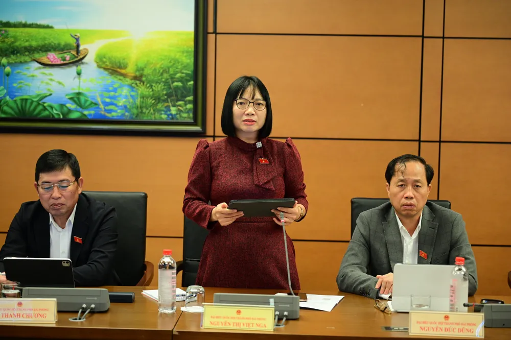 ĐB Nguyễn Thị Việt Nga.jpg