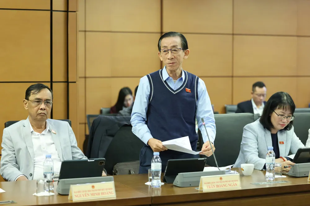 Đại biểu Trần Hoàng Ngân (TPHCM).jpg