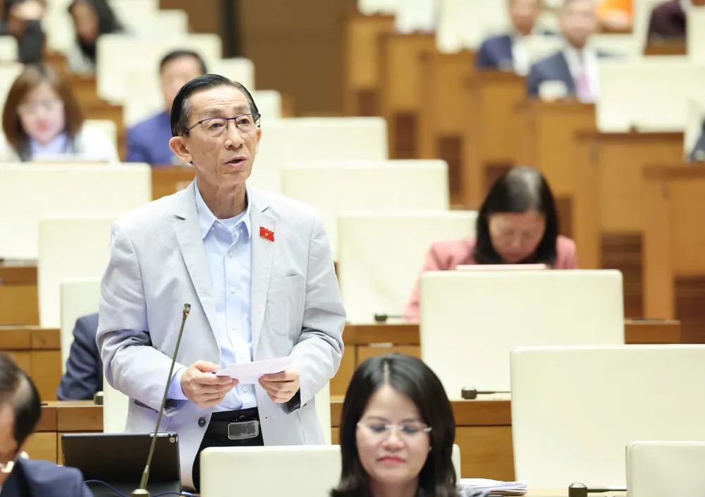 Đại biểu Trần Hoàng Ngân (TPHCM).jpg