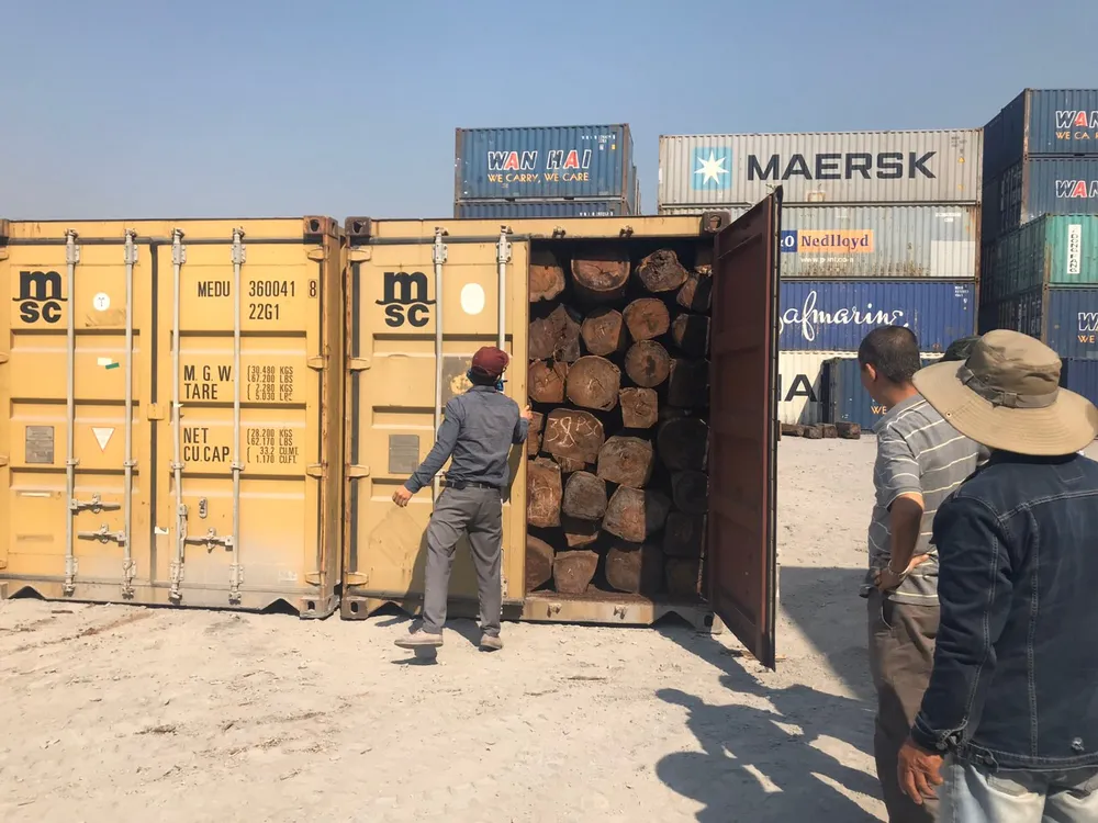 Phát hiện 50 container nghi gỗ giáng hương nhập lậu ảnh 1 Phát hiện 50 container nghi gỗ giáng hương nhập lậu ảnh 1