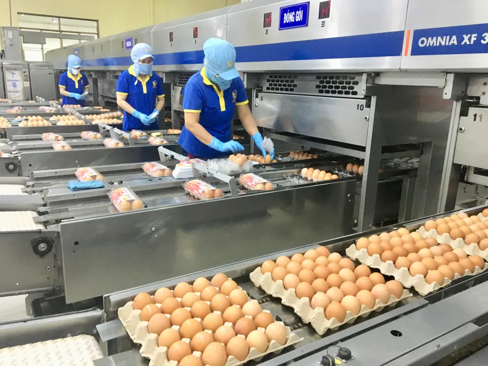 Doanh nghiệp chia sẻ với nông dân cách nuôi gia cầm sạch, phù hợp xuất khẩu ảnh 1