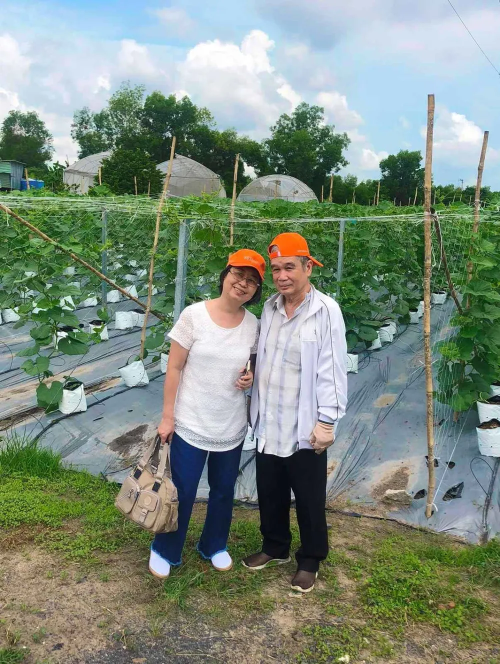 Doanh nghiệp giảm giá tour lên tới 70%  ảnh 2