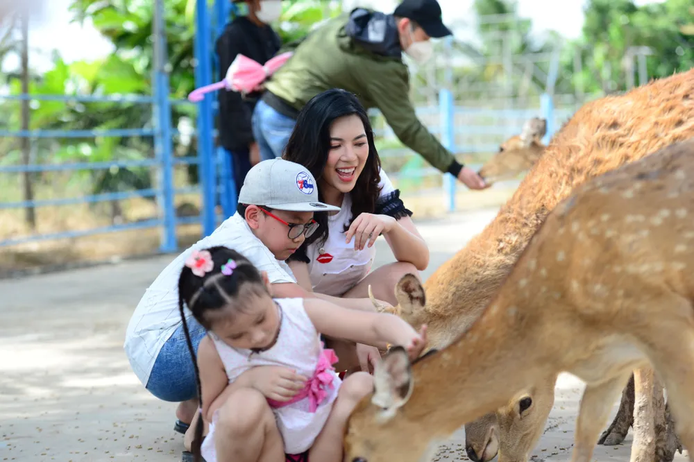 Ngày hội Khinh khí cầu, du thuyền và các hoạt động thể thao dưới nước  ảnh 3