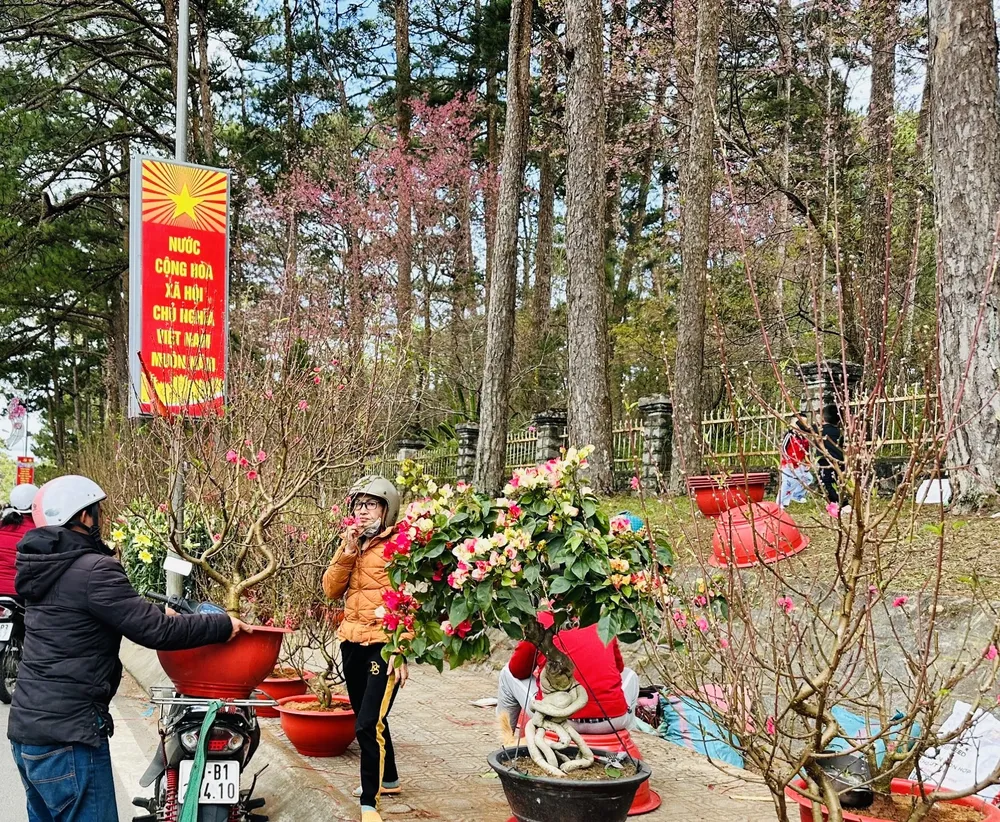 Những chậu hoa kiểng được bán "xả kho" thu hút người mua. Ảnh: ĐOÀN KIÊN Những chậu hoa kiểng được bán "xả kho" thu hút người mua. Ảnh: ĐOÀN KIÊN