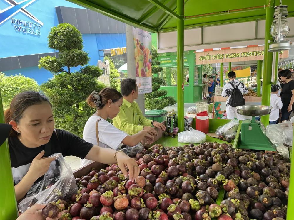 Khách chọn mua trái cây tại Khu du lịch Văn hóa Suối Tiên