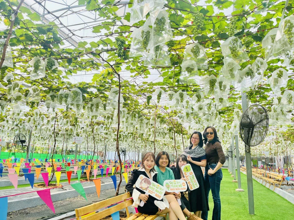 Khách tham quan, chụp hình tại vườn nho ở Khu du lịch Văn hóa Suối Tiên khach-tham-quan-chup-hinh-tai-vuon-nho-o-khu-du-lich-van-hoa-suoi-tien-567.jpg