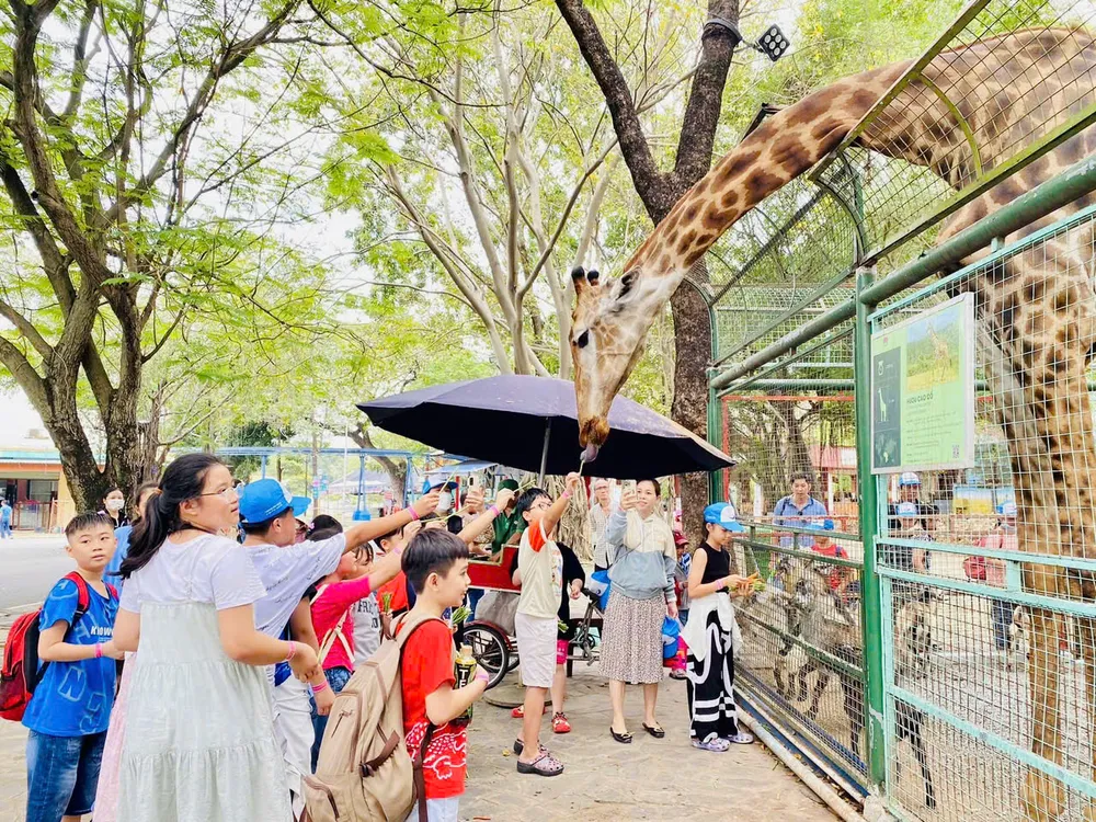 Người dân, du khách vui chơi tại Công viên Văn hóa Đầm Sen Vui chơi Đầm Sen.jpg