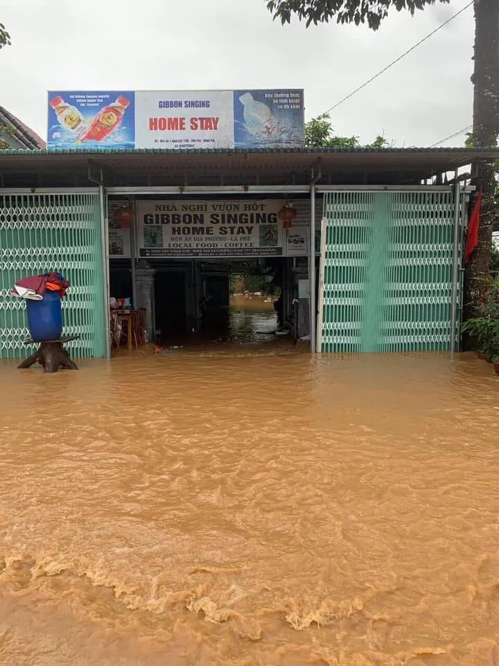 Lâm Đồng ngập nặng, Đồng Nai lũ quét, người mất tích ảnh 7