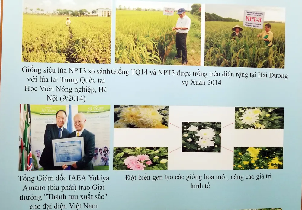 Ứng dụng năng lượng nguyên tử đem lại nhiều kết quả quan trọng về phát triển y tế và nông nghiệp ảnh 3