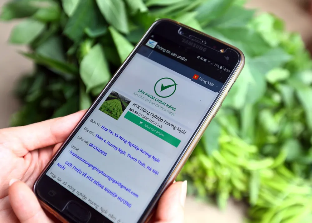 VNPT hợp tác với Lộc Trời phát triển nông nghiệp thông minh  ​ ảnh 3