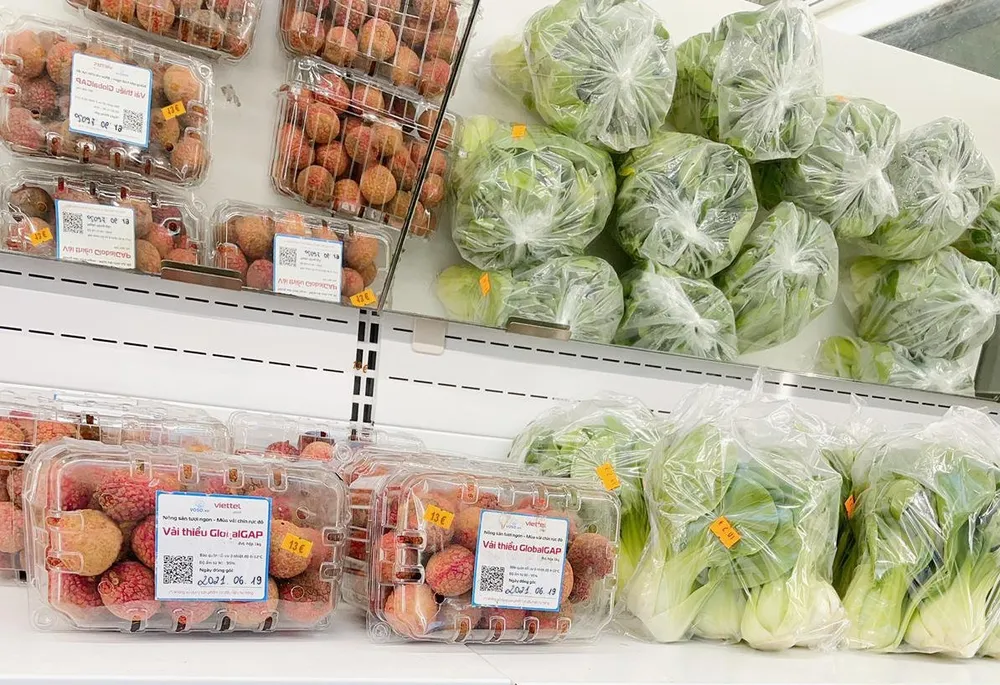 Lần đầu tiên xuất khẩu nông sản qua nền tảng thương mại điện tử do Việt Nam phát triển ảnh 3