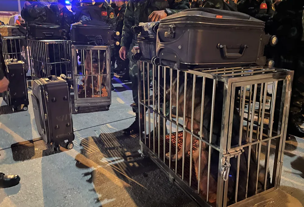 Các chú chó nghiệp vụ tìm kiếm cứu nạn thuộc Bộ đội Biên phòng Việt Nam tại sân bay Hatay. Ảnh: BQP Các chú chó nghiệp vụ tìm kiếm cứu nạn thuộc Bộ đội Biên phòng Việt Nam tại sân bay Hatay. Ảnh: BQP