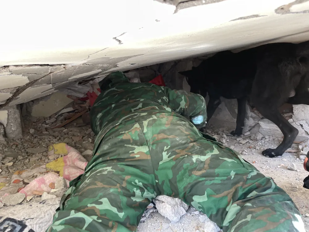 Đội chó nghiệp vụ và Tổ trinh sát số 1 của Đội Công binh cứu sập tại hiện trường. Ảnh: BQP